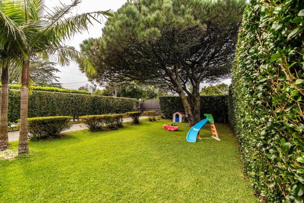 Apartamento Do Pinheiro São Vicente Ferreira Extérieur photo